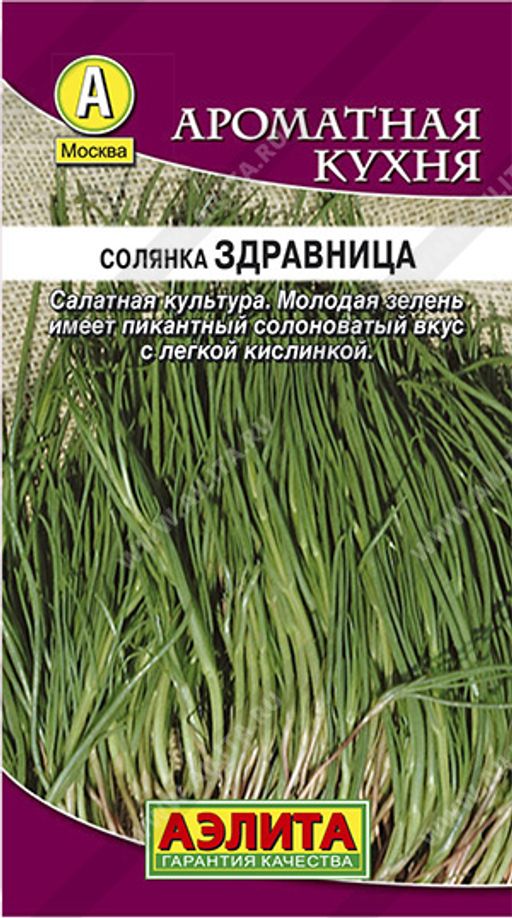 Солянка Здравница ---