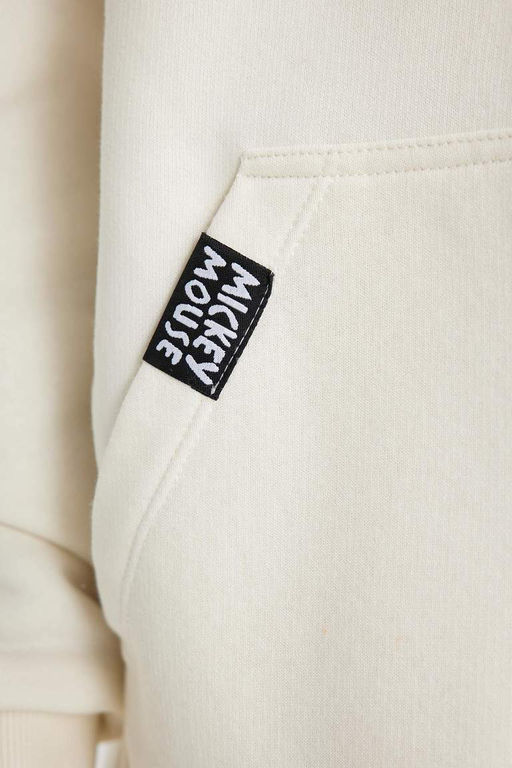 Толстовка оверсайз с капюшоном Disney Mickey & Minnie - Defacto фото 9