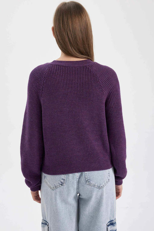 Крутой свитер стандартной посадки с круглым вырезом - Defacto фото 7