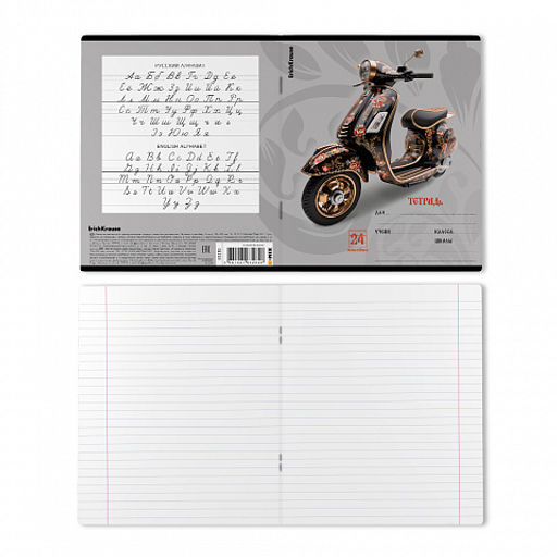 Цена за 10 шт. Тетрадь школьная ученическая ErichKrause Souvenir, 24 листа, линейка (в плёнке по 10 шт.)_MIX-PACK фото 8