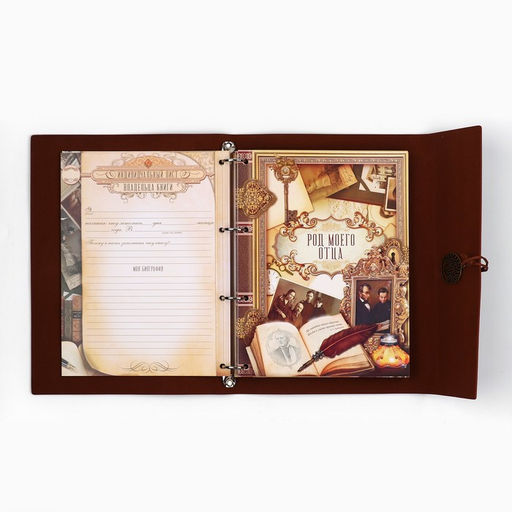 Родословная книга «Наш род», 56 листов, коричневый, 35×23.5 см