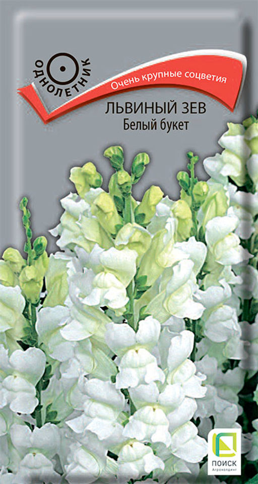 Львиный зев (Антирринум) Белый букет (ЦВ ) (1) 0,1гр. - Поиск фото 2