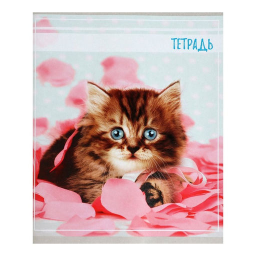 Комплект тетрадей из 5 штук, тетрадь 36 листов в клетку Calligrata Котята, обложка мелованный картон, блок офсет  фото 2