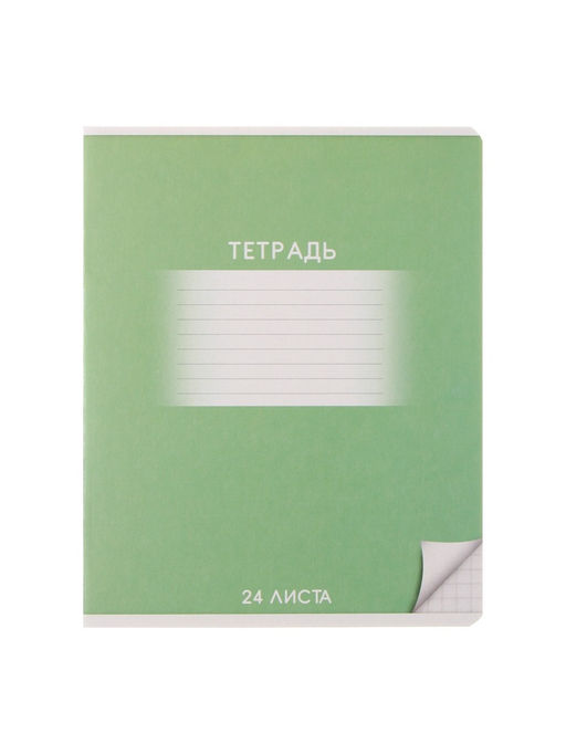 Комплект тетрадей из 10 штук, 24 листа в клетку Calligrata «Школьная», обложка мелованный картон, ВД-лак, блок офсет, 5 видов по 2 штуки