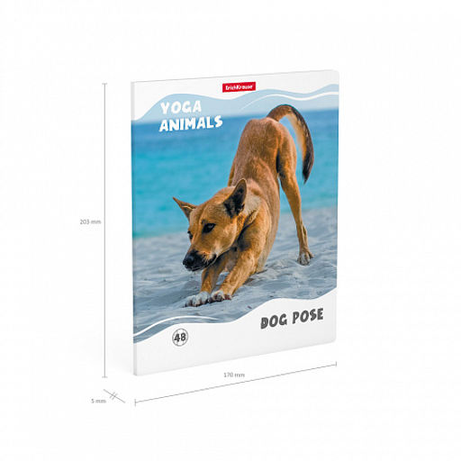 Цена за 5 шт. Тетрадь общая ученическая ErichKrause Yoga Style, 48 листов, клетка, матовая ламинация_MIX-PACK фото 10