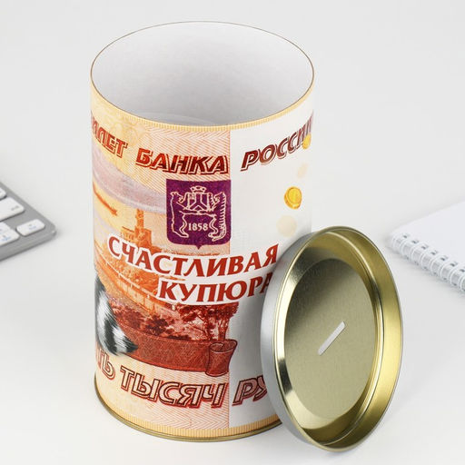 Копилка XXL «Енот», 20×12.5 см