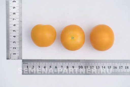 Томат Черри Златояр - Партнер фото 6