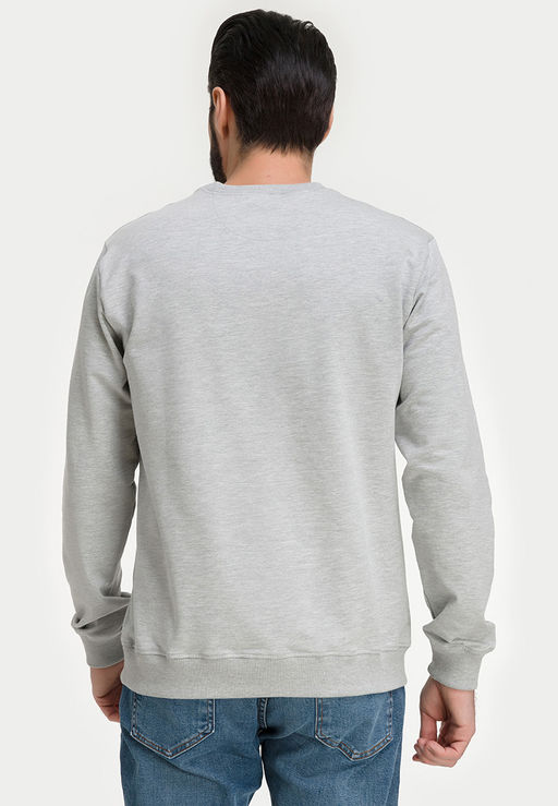Свитшот мужской GREG G121-OZ02-28 (св.серый м.)  фото 2