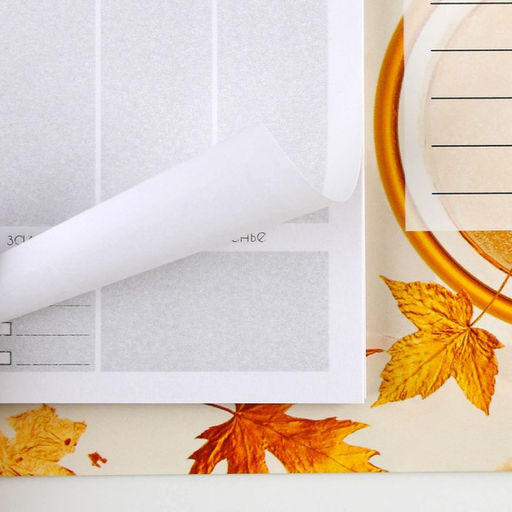 Планинг на магнитах с отрывными листами Золотой учитель, 50 листов, 19,5 х 14 см (размер части для заполнения 13 х 9,5 см). - Artfox фото 3