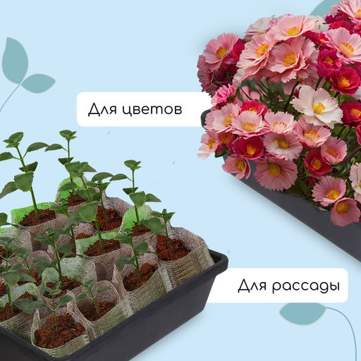 Цена за 2 шт. Ящик для рассады, 35×30×9 см, 6.5 л, пластик, чёрный