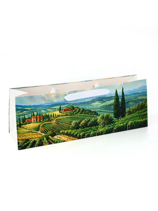 Цена за 2 шт. Пакет под бутылку «Сад», 36×10×13 см