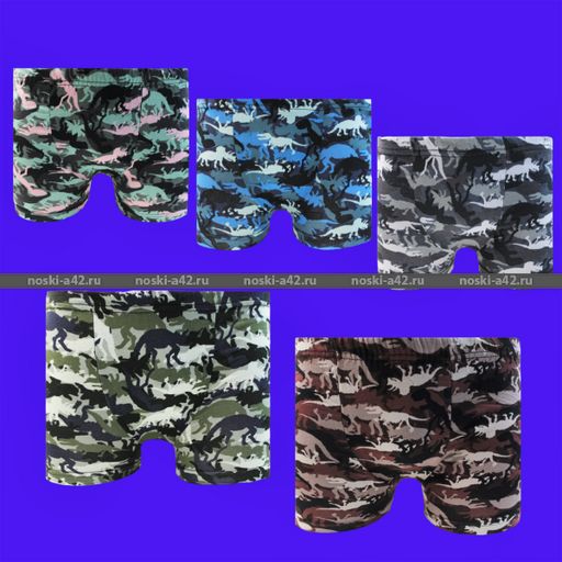 Цена за 5 шт. Боксеры для мальчиков Турция арт. 41433 (41133, 41050) 5 (8-9 лет) - For you фото 3