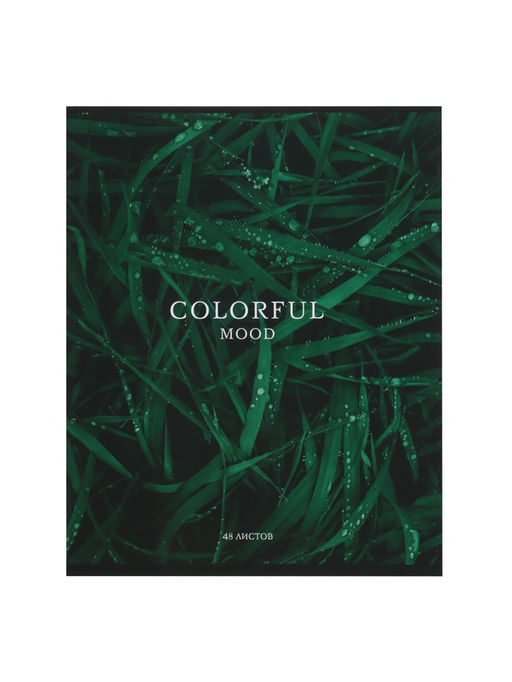 Набор тетрадей, 48 листов в клетку, Calligrata «Изумруд», серые листы, 5 штук