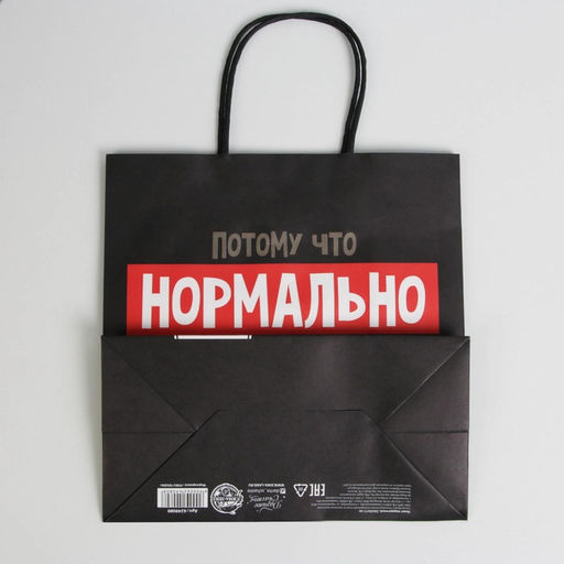 Цена за 2 шт. Пакет подарочный новогодний «Нормально надо отвечать», 22×22×11 см