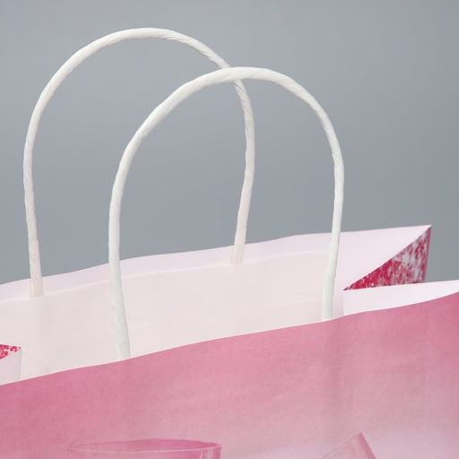 Цена за 2 шт. Пакет подарочный, упаковка, Чиксы, 22?22?11 см