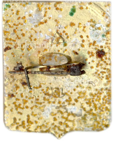 Значок Владимир