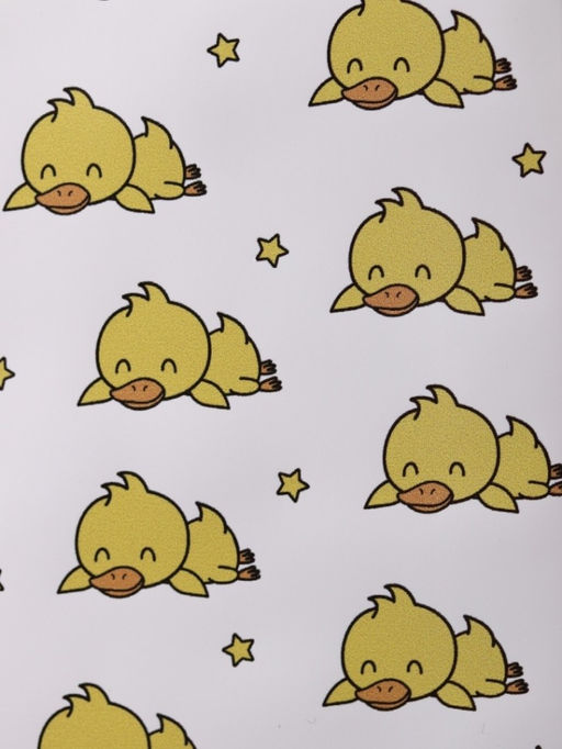 ОБЛОЖКА ДЛЯ ПАСПОРТА Sleeping Duck, плотность 600 мкм