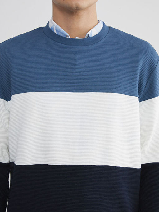 Bisiklet Yaka Renk Bloklu Erkek Sweatshirt