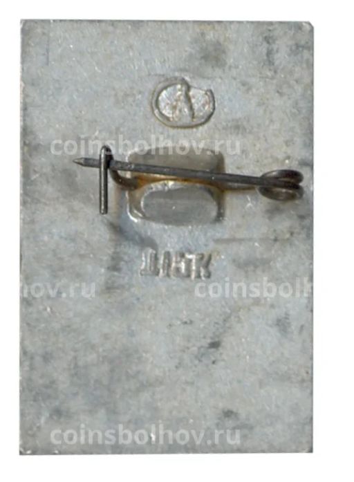 Значок Общество охраны памятников истории и культуры РСФСР