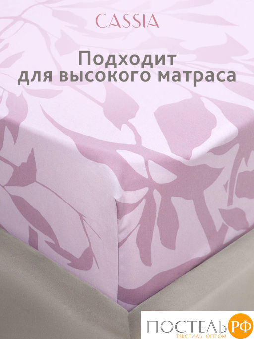 Простыня на резинке CASSIA АЛЬТАН хлопок-сатин  фото 6