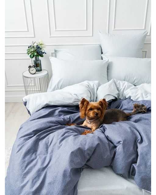 Меркури графит