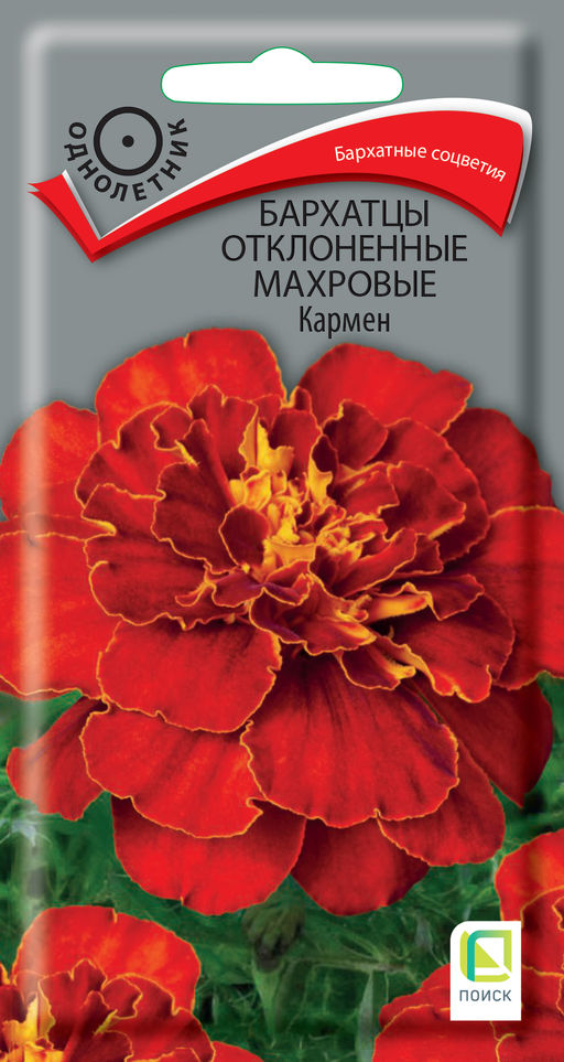 Бархатцы отклоненные махровые (Тагетес отклонённый) Кармен ( ЦВ) (1) 0,4гр. - Поиск фото 2