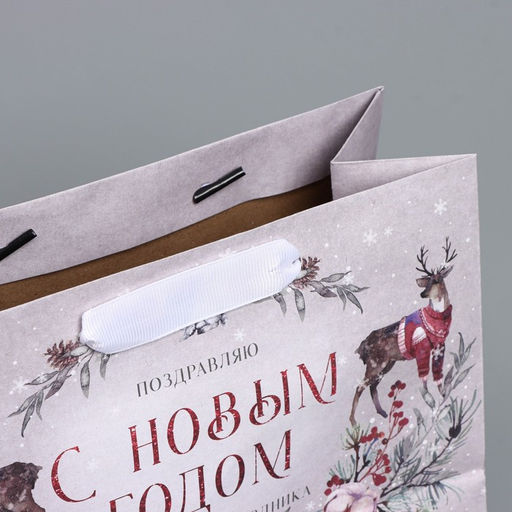 Пакет крафтовый горизонтальный Сказка, MS 23 18 10 см - Дарите счастье фото 4