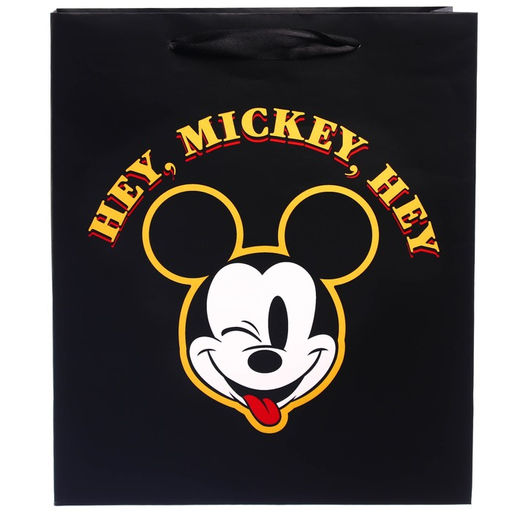 Пакет ламинированный вертикальный, 23 х 27 х 11 см Hey Mickey Hey, Микки Маус - Disney фото 3