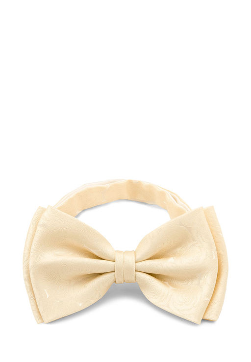 Галстук-бабочка мужской CASINO Casino-poly-wedding 512.1.491