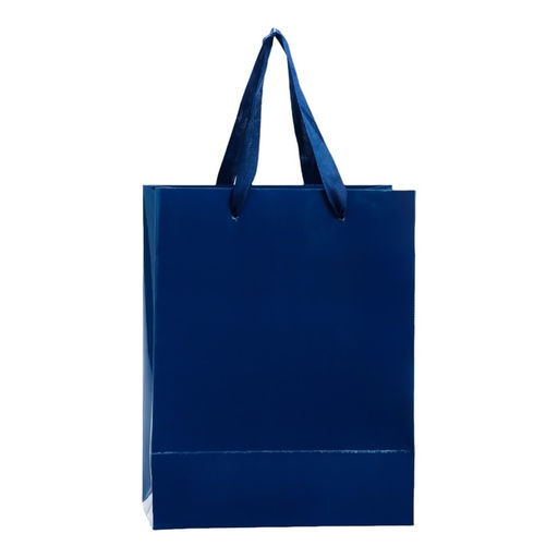 Цена за 2 шт. Пакет подарочный ламинированный «Синий», 18×23×10 см