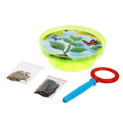 Набор для опытов Выращиваем растение: лупа, семена, тарелка, губка - Эврики фото 7