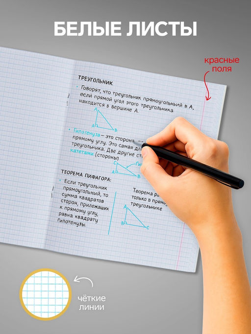 Набор тетрадей 24 листа в клетку Calligrata "Сочный Микс. Паттерн", серые листы, МИКС, 10 шт.