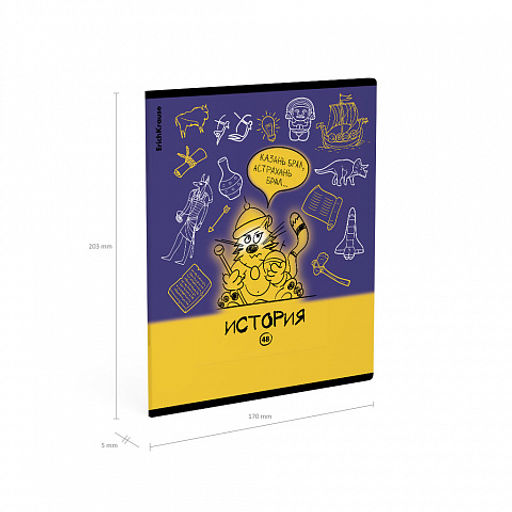 Цена за 5 шт. Тетрадь общая ученическая с пластиковой обложкой на скобе ErichKrause Котоформулы, История, 48 листов, клетка  фото 4