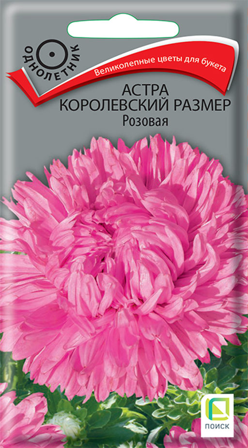 Астра (однолетняя) королевский размер Розовая (ЦВ) (1) 0,1гр. - Поиск фото 2