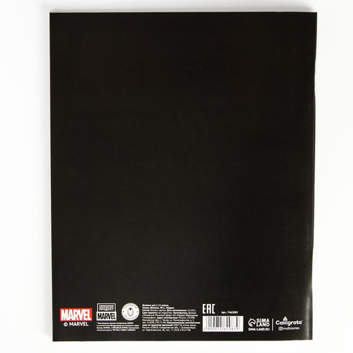 Дневник школьный, 1-11 класс в мягкой обложке, 48 л Marvel, Мстители  фото 4