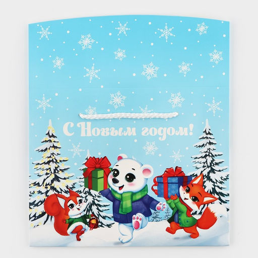 Цена за 2 шт. Пакет-коробка подарочный новогодний С Новым годом, 23?18?11 см