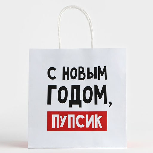 Цена за 2 шт. Пакет подарочный новогодний «С Новым годом, пупсик», 22×22×11 см