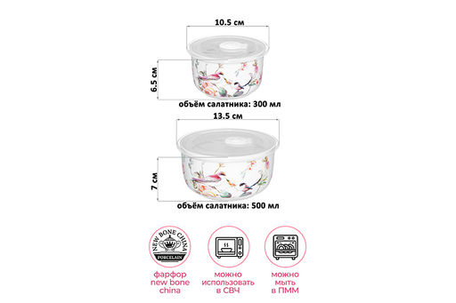 Набор 2 салатников 500 мл 13,5*13,5*7 см + 300 мл 10,5*10,5*6,5 см Певчие птички с крышк. NEW BONE - Elan gallery фото 2