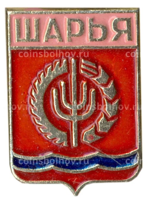 Значок Шарья