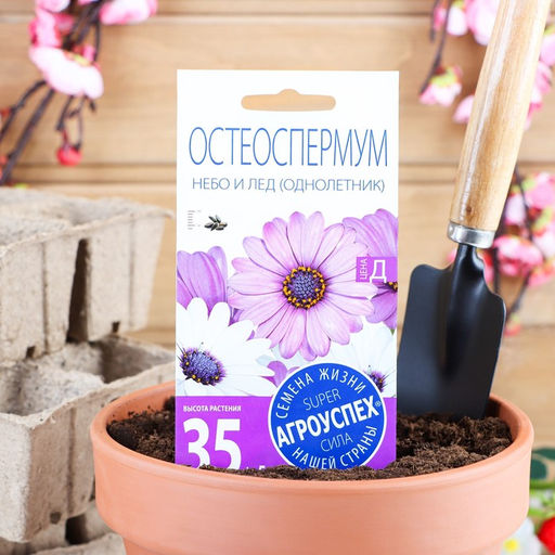 Цена за 2 шт. Семена цветов Остеоспермума "Небо и лед", смесь, О, 0,2г