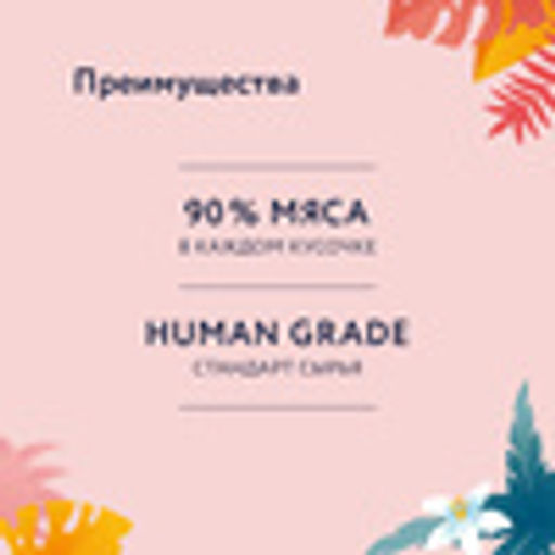 Упаковка 12 шт Паучи для стерилизованных кошек: кусочки с индейкой в желе - Florida фото 7