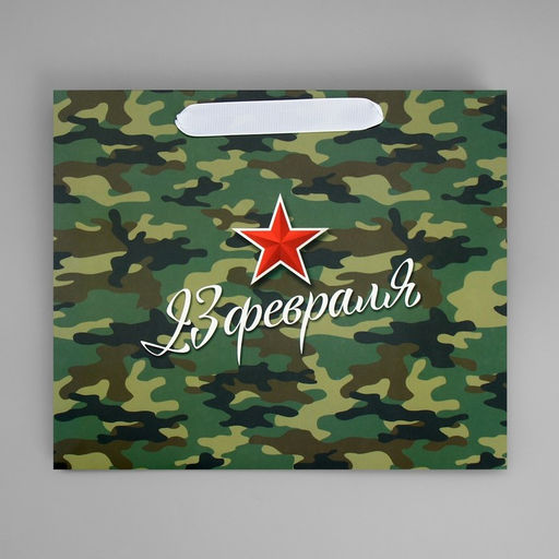 Цена за 2 шт. Пакет подарочный ламинированный, упаковка, «С 23 февраля», ML 27×23×11.5 см