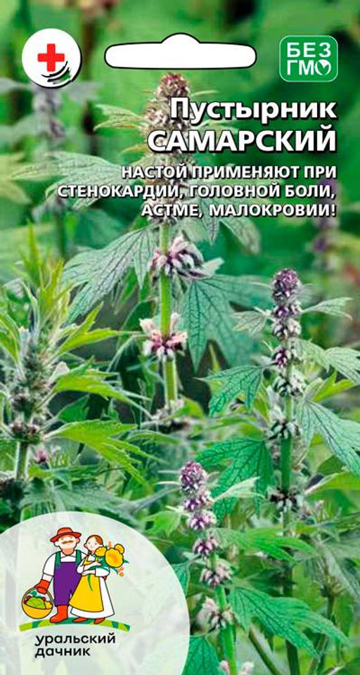 Пустырник САМАРСКИЙ