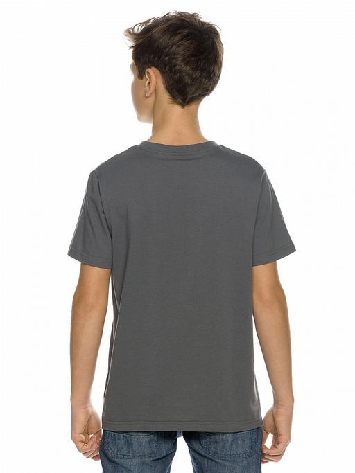 Pelican BFT4216/3 футболка для мальчиков  фото 2