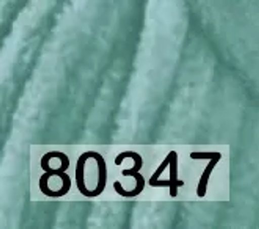 DOLPHIN BABY HIMALAYA  фото 50