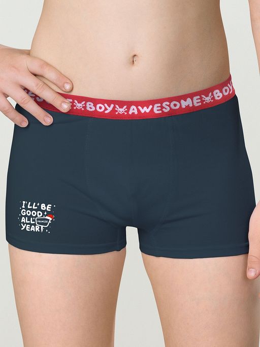 BUHB4307(2шт. в упаковке) трусы для мальчиков - Pelican фото 4