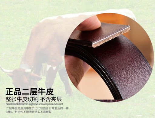 Ремень BL-L-200-Brown/Gold-115