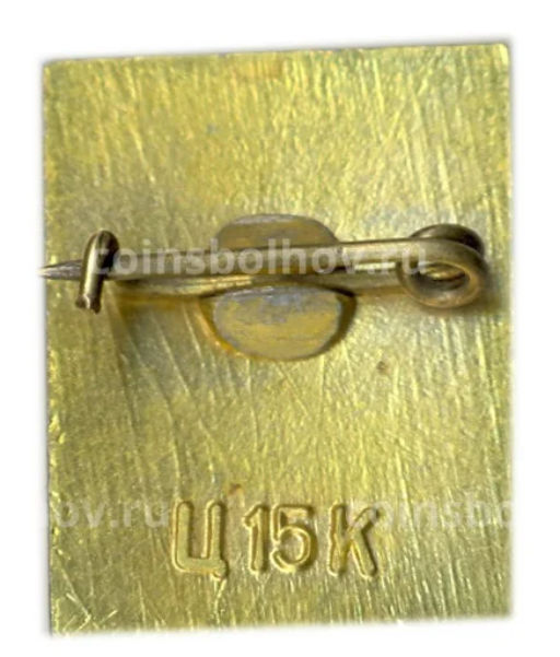 Значок Находка