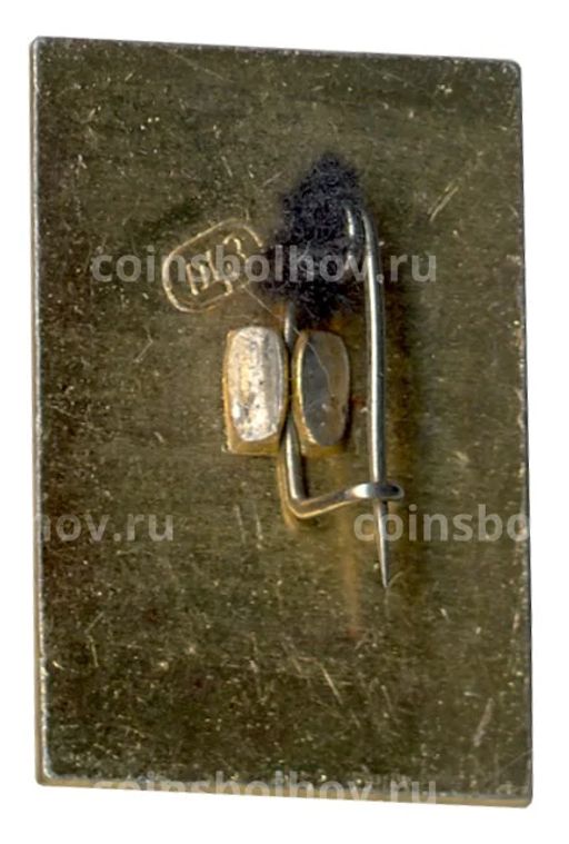 Значок Брестская крепость