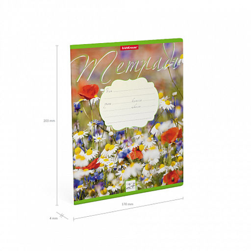 Цена за 160 шт. Тетрадь школьная ученическая ErichKrause Цветущие луга, 24 листа, линейка (в плёнке по 10 шт.) фото 10